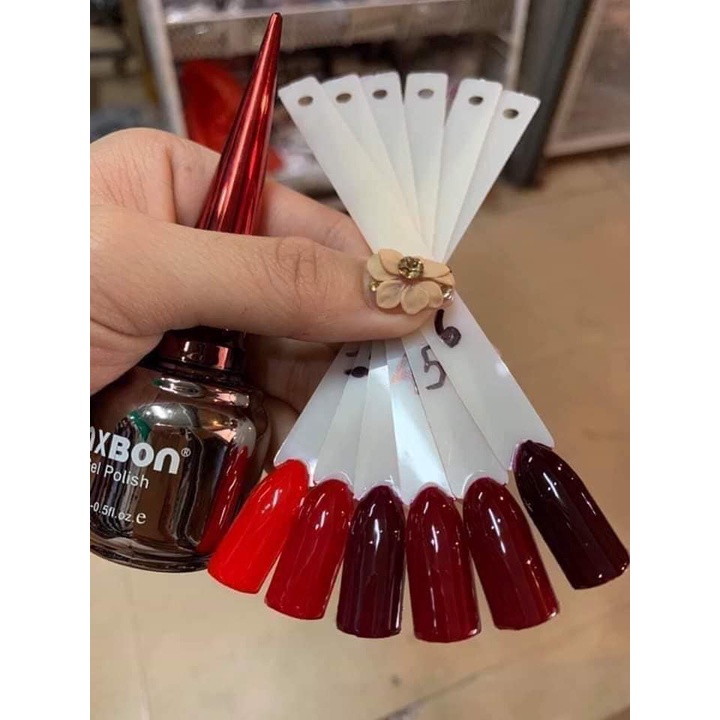 Set sơn mixbon đỏ 6 màu xịn xò ( miễn ship )