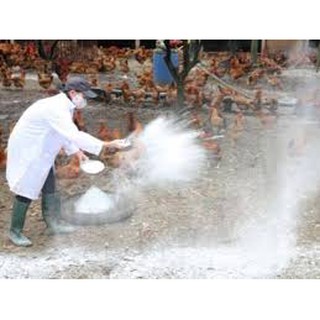 1kg Vôi Bột Xử Lý Đất