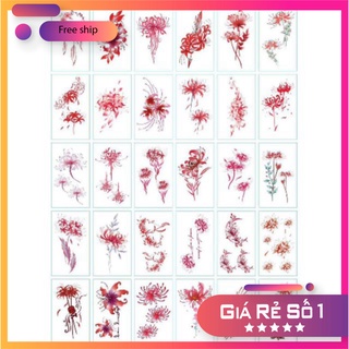 Combo 30 tấm hình xăm nước hình xăm dán Hoa Bỉ Ngạn đẹp dễ thương hot hit giá rẻ phukienvppbinhduong