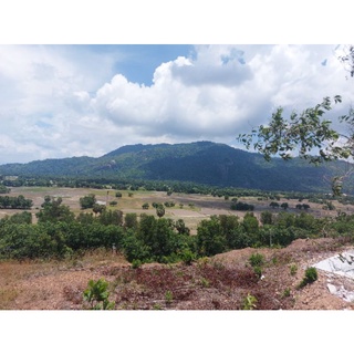 ĐƯỜNG THỐT NỐT VÙNG 7 NÚI AN GIANG