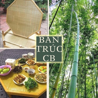 Bàn trúc cao bằng