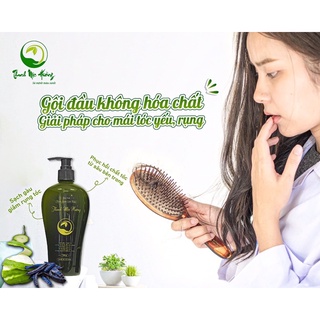 Dầu gội thảo dược Thanh mộc hương