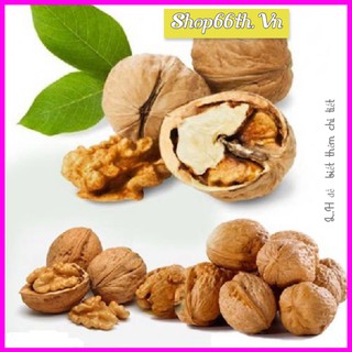 1KG quả óc chó khô Size to❤Đủ cân❤ Hạt óc chó nếp vàng khô Tây Bắc Chất lượng cao