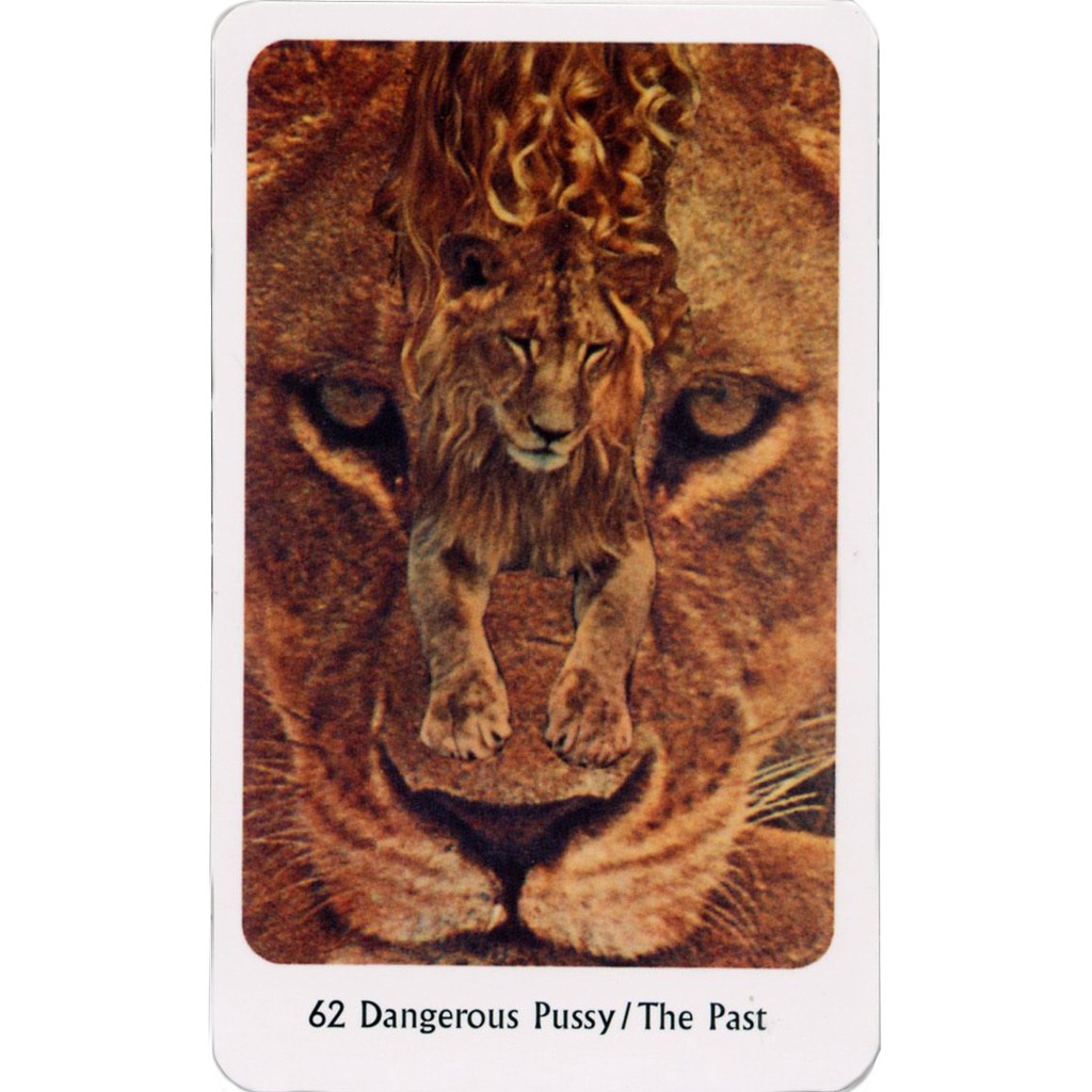 Bộ Bài Tantric Dakini Oracle (Mystic House Tarot Shop) - Bài Gốc Authentic Chính Hãng 100%