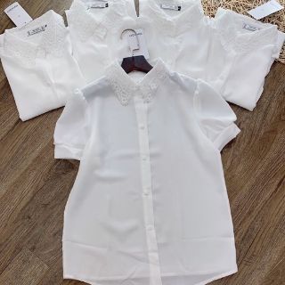 Áo sơ mi cổ ren tay bồng