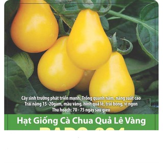 Hạt giống cà chua quả lê vàng dễ trồng, ngọt thơm