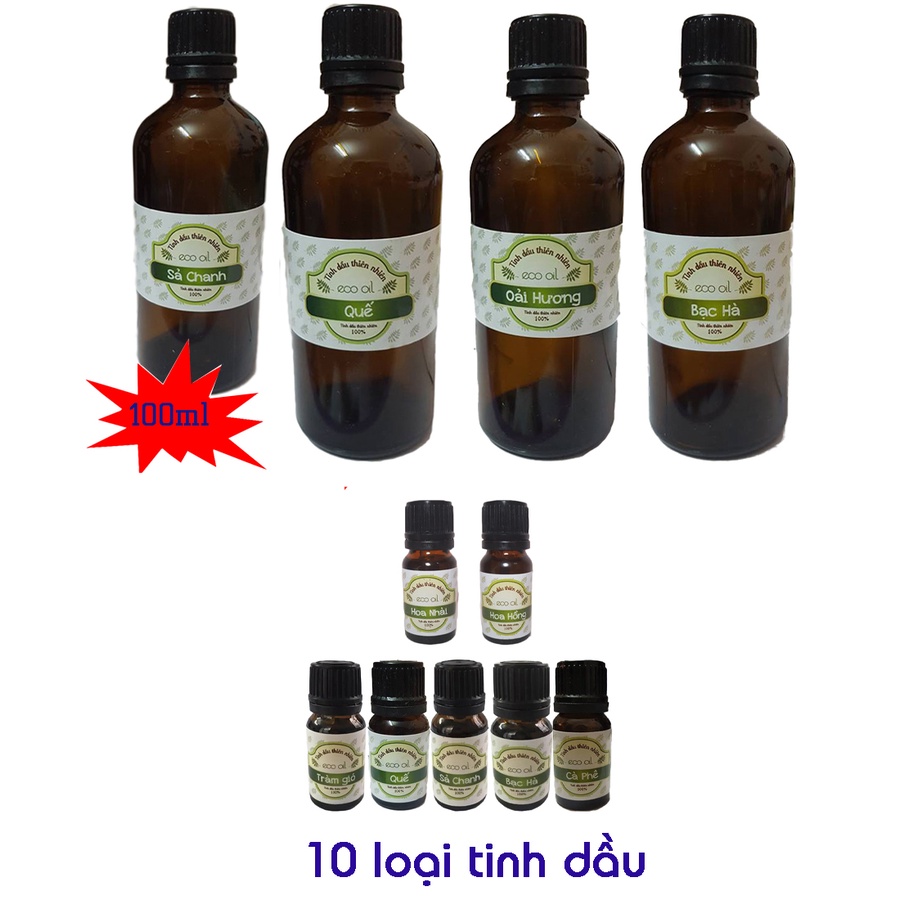 Các loại tinh dầu đuổi muỗi và xông thơm phòng Eco oil đủ mùi (chọn dung tích)