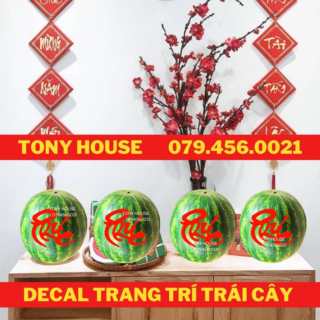[TẾT] 4 DECAL DÁN DƯA HẤU / TRÁI CÂY SIÊU SANG TRỌNG - CÓ KEO DÁN SẴN🍎
