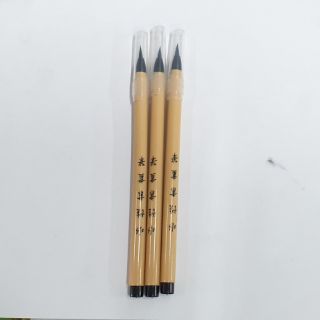 Bút viết thư pháp có mực sẵn