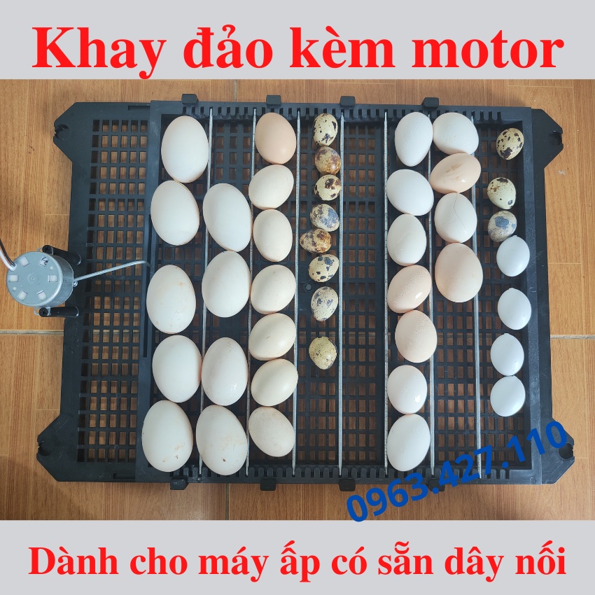 Khay Đảo Trứng Gà Tự Động - 54 Trứng - Vừa với thùng xốp 60x45x40cm