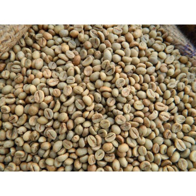 [NHÀ TRỒNG] 5kg Cà phê nhân sống chưa rang Robusta BMT- Hạt to đều chín nguyên chất