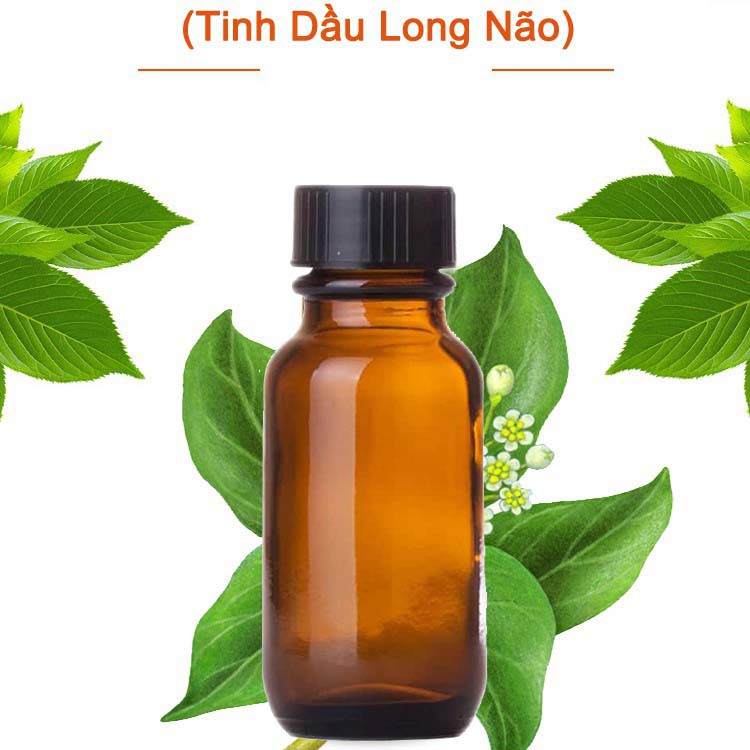 Tinh dầu long não nguyên chất ( Comphor essential Oil ) GUTY