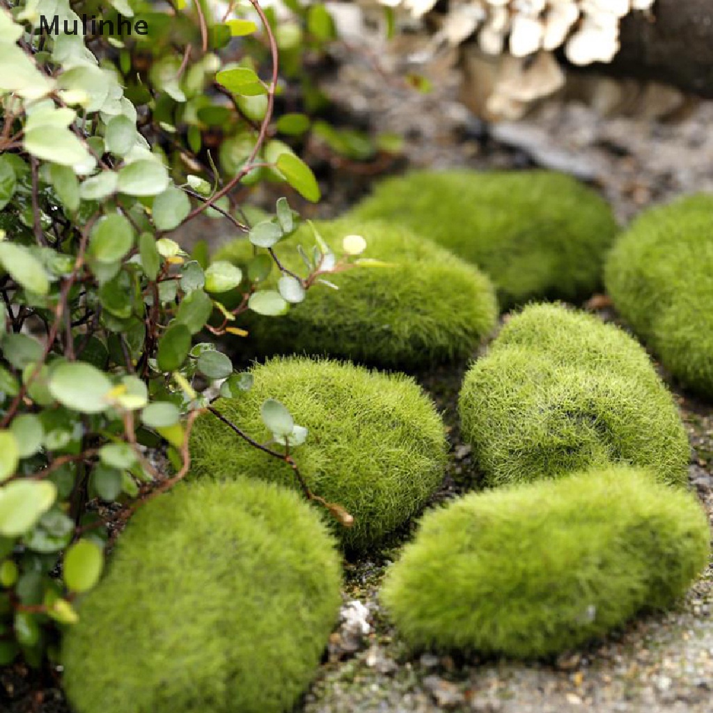 Bộ 4 Hòn Đá Rêu Nhân Tạo Dùng Cho Trang Trí Tiểu Cảnh