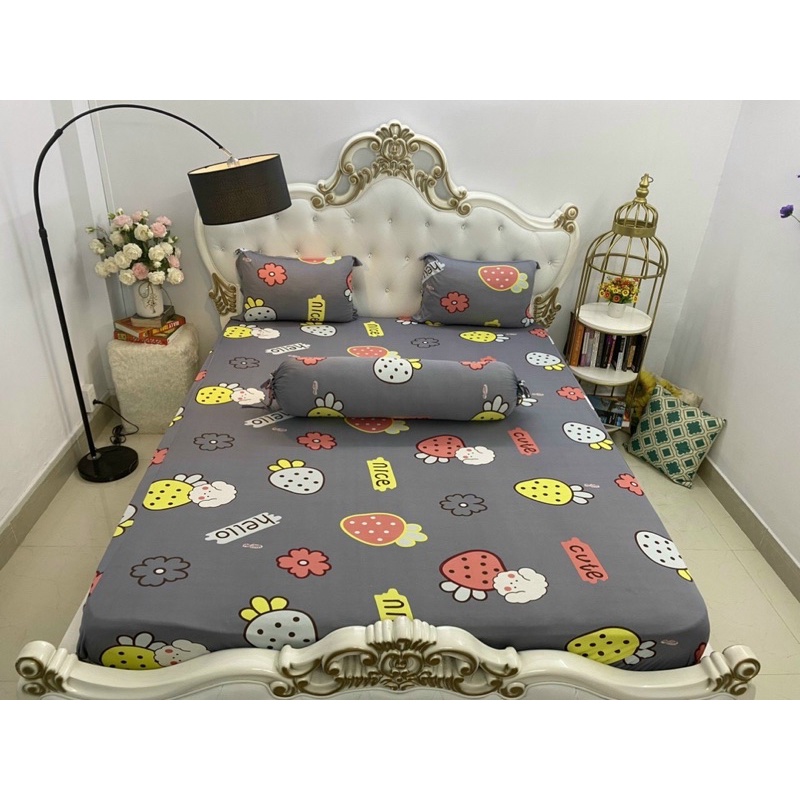 Bộ ga thun❤️Freeship❤️drap giường trái dâu 4 món