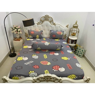 Bộ ga thun❤️Freeship❤️drap giường trái dâu 4 món