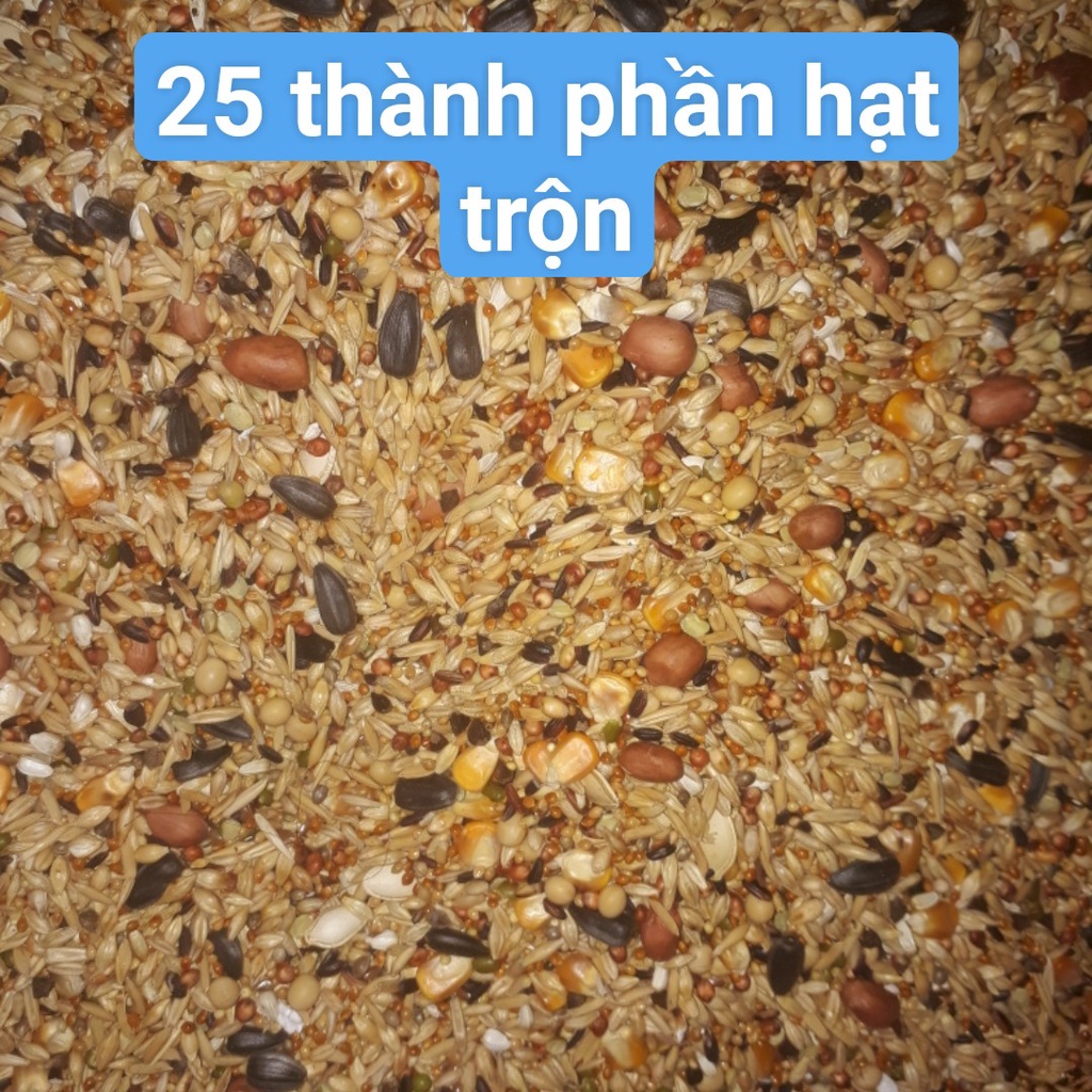 Thức ăn trộn nguyên hạt cho Hamster, Sóc 400g