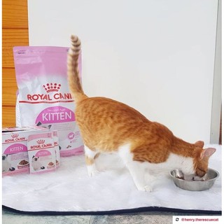 Thức Ăn Hạt Royal Canin Kitten (Mèo Con)- 2kg