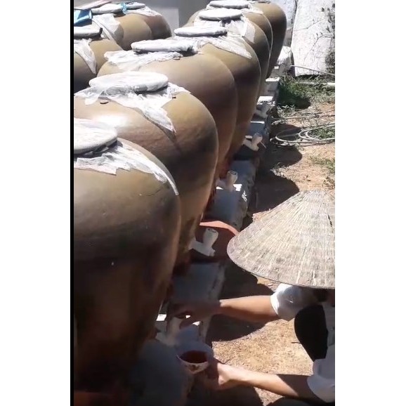 NƯỚC MẮM CÁ CƠM NGON