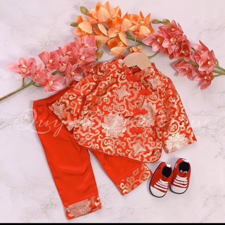 Tiểu bảo đỏ hoa văn vàng nhóng nhánh ngày xuân rực rỡ ngày tết ấm áp giao mùa