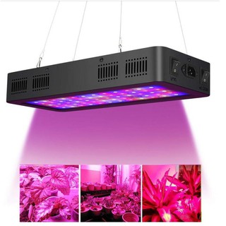 Đèn Led trồng cây TS-600W, Đèn trồng cây trong nhà, led grow light- Cao cấp