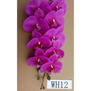 Cành lan hồ điệp cao su 9 bông thân đốm