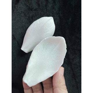 GÂN HOA MỘC LAN