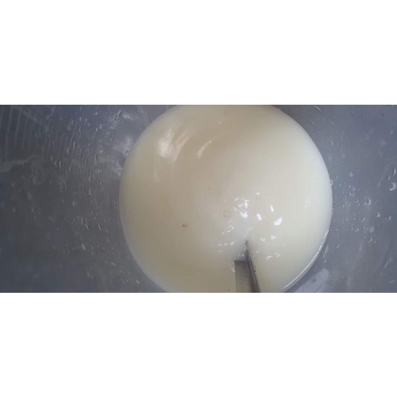 NEEM OIL HỮU CƠ ĐÃ NHŨ HÓA - Phòng & Trị : Nhện đỏ-Rệp-Trĩ-Sâu bệnh trên Hoa hồng-Phong lan-Cây cảnh