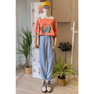 2 COLORS JOGGING