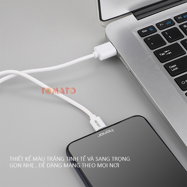 Dây Sạc Iphone - Cáp Sạc Iphone IBesky Bs-i6 Cho Iphone , Ipad , Airpods , Lightining Siêu Gọn - Phụ Kiện Tomato