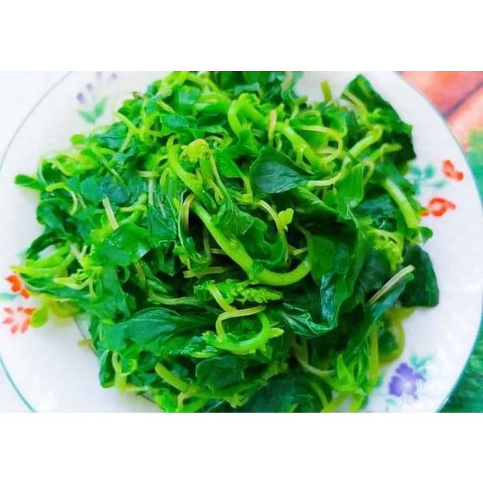 Hạt giống rau dền xanh