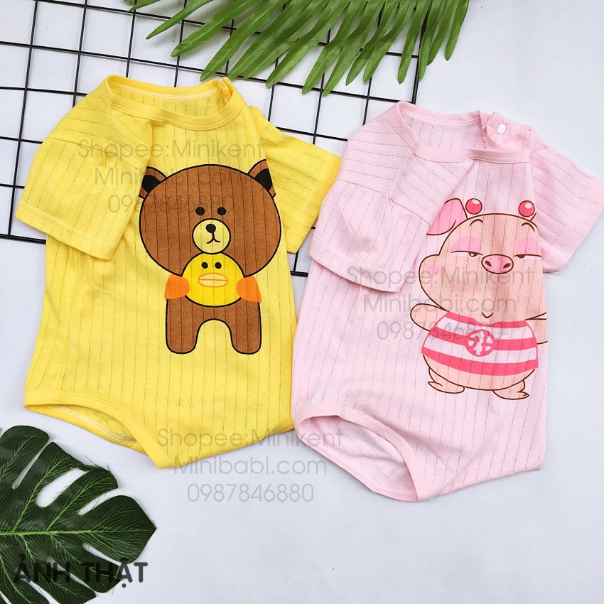 Body chíp cotton giấy cho bé