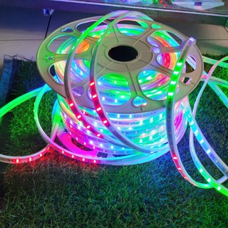 DÂY LED ĐUỔI NHIỀU MÀU 2835 (KHÔNG KÈM NGUỒN)