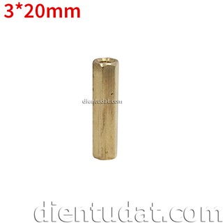 Combo 50 Ốc Đồng 3*20mm - Ren Trong