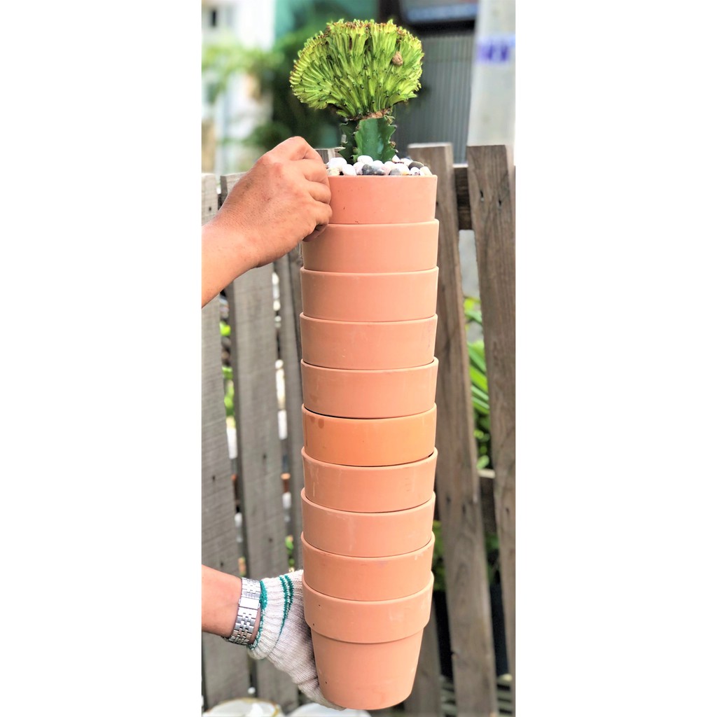 Bộ 10 chậu đất nung trồng xương rồng sen đá Rộng 14 cm x Cao 13 cm