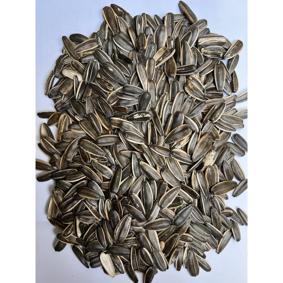 Hạt hướng dương cho hamster, chuột, vẹt, xám gói 500gr