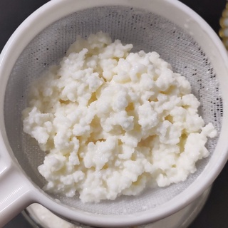 Combo nấm sữa Kefir + dụng cụ nuôi. BẢO HÀNH NẤM TỚI TAY KHÁCH