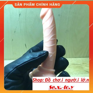 Máy massage cầm tay