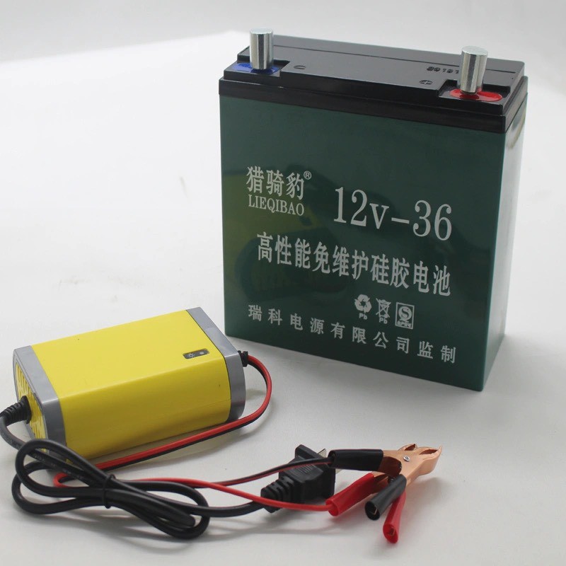 Bình Ắc Quy Khô 12V-36Ah Có Cả Sạc