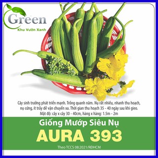 Hạt giống mướp siêu nụ
