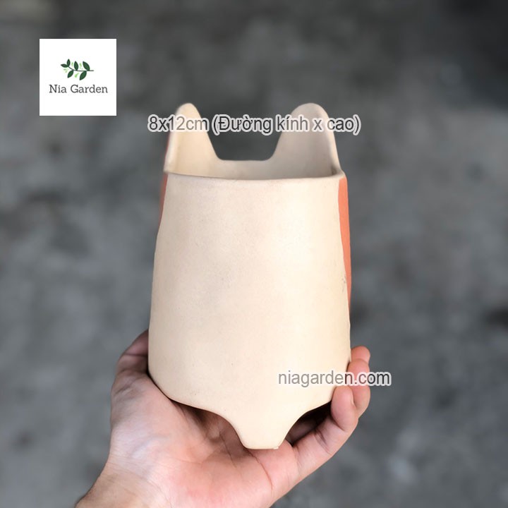 Chậu chó cam trồng cây để bàn mini sen đá xương rồng Nia Garden N4