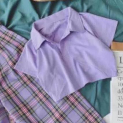 Áo PLO CROPTOP TRƠN TT12