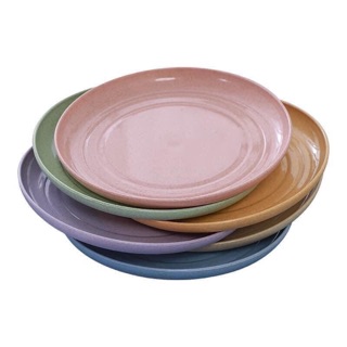 Set đĩa lúa mạch (Mix 6 màu)