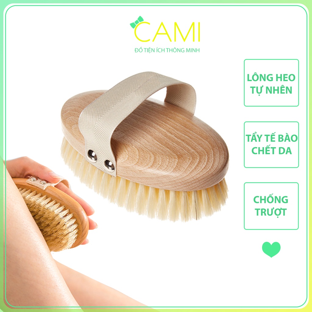 Bàn Chải Lông heo rừng tự nhiên, cán gỗ sồi chắc chắn, dùng khi tắm hoặc dùng cho thú cưng - Cami - CMPK240