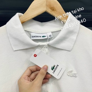 Áo Thun Cá Sấu Hàng XK CAO CẤP