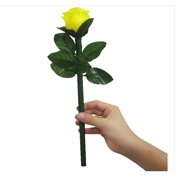 Ảo thuật hoa hồng đổi màu mẫu mới đẹp hơn diễn chuẩn mượt hơn