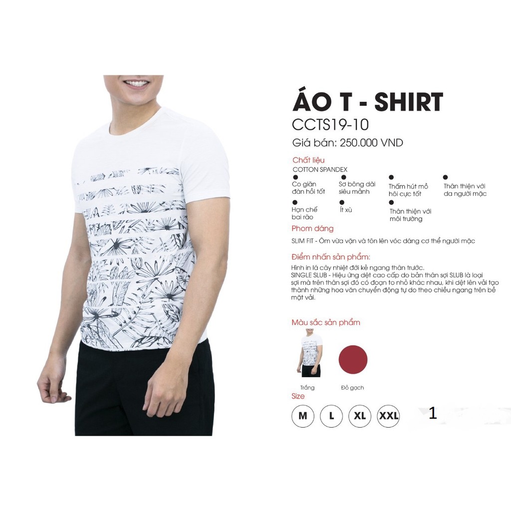Áo Thun ( shirt) CALUCI