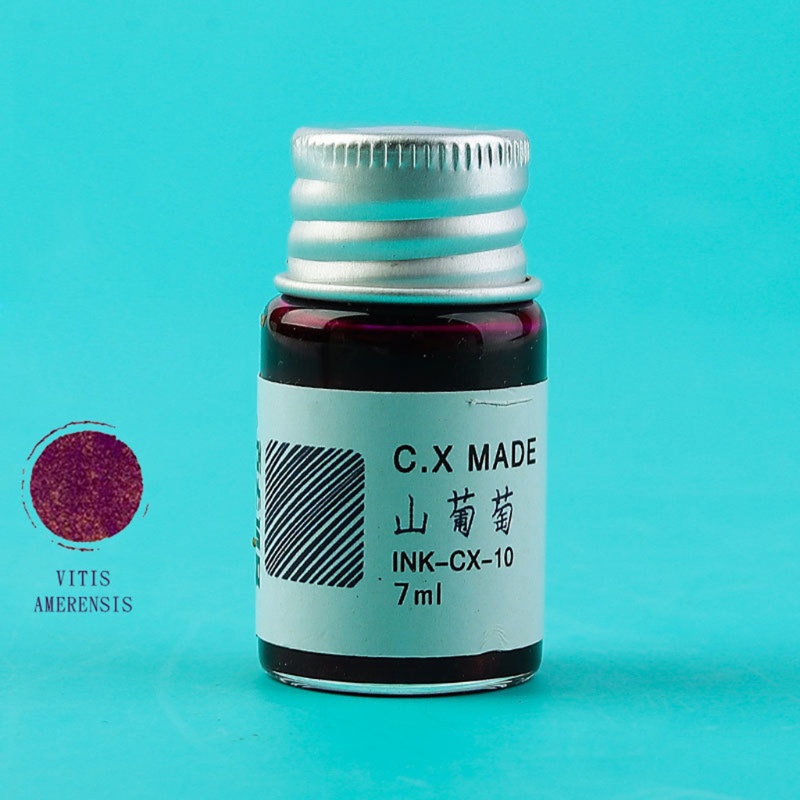 Set 12 Bút Mực Nước 7ML Đa Năng Cho Bé