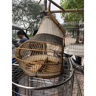 Cu gáy quả đào nóc đan sợi nhựa