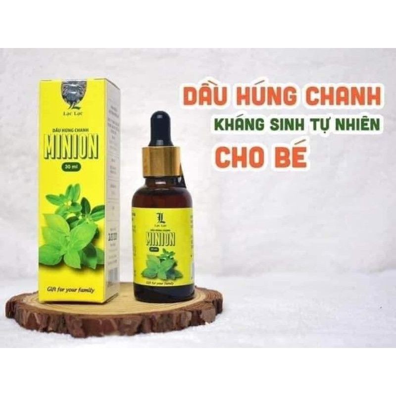 DẦU HÚNG CHANH MINION