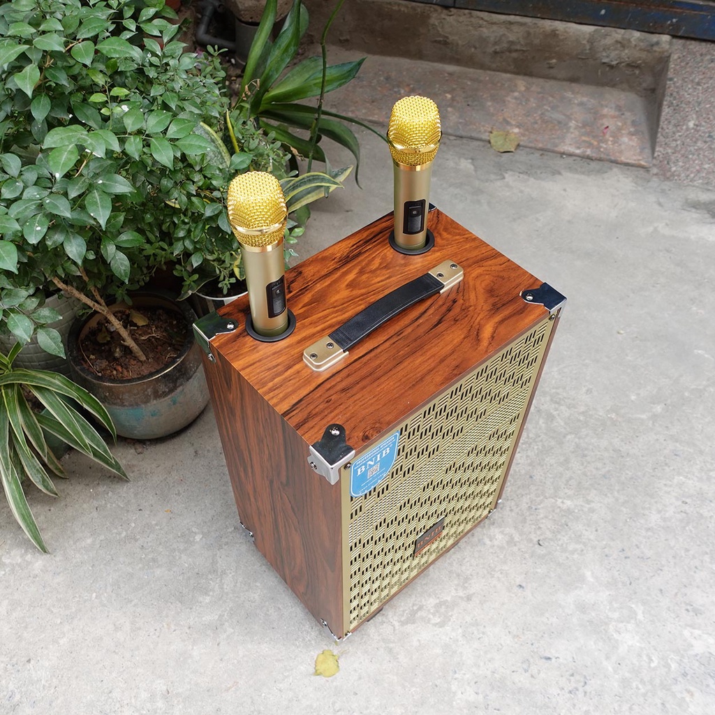 Loa kéo BNIB M10 bass 25cm  - Loa kéo Hát Karaoke kèm 2 Mic VHF Xịn | Bảo Hành 6 tháng